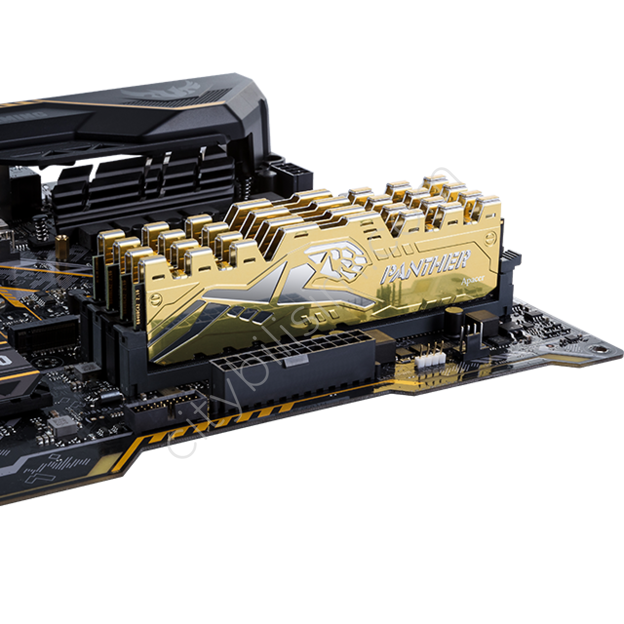 Apacer Panther Black-Gold 8GB (1x8GB) 3000Mhz CL16 DDR4 Gaming Ram (EK.08G2Z.GJC)